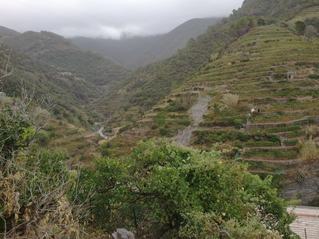 2012-09-25 11.11.03.jpg
